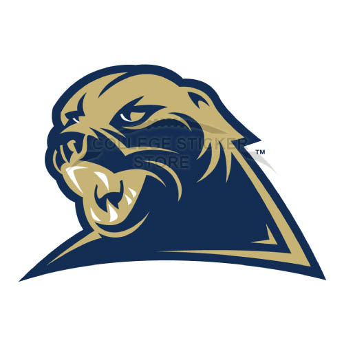 Homemade Pittsburgh Panthers Iron-on Transfers (Wall Stickers)NO.5898
